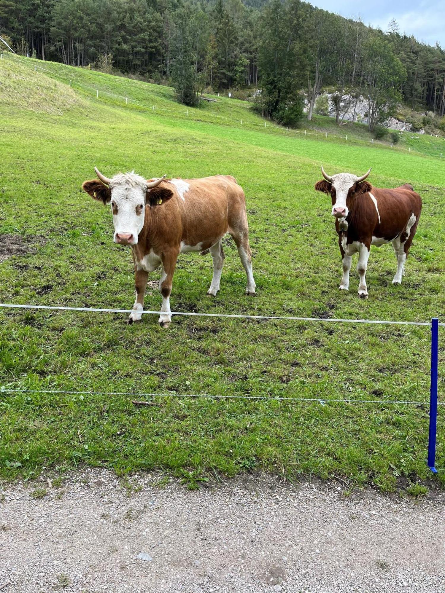 Meilerhof Reith bei Seefeld Exterior foto